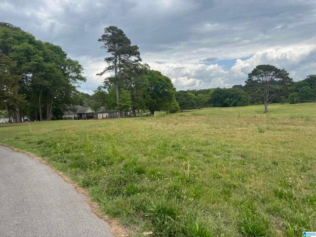 Land for sale in Pell City, St. Clair County