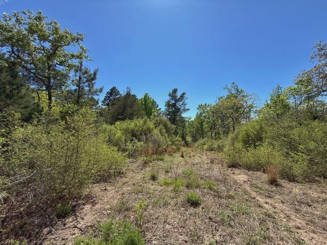 Land for sale in Leon, Texas