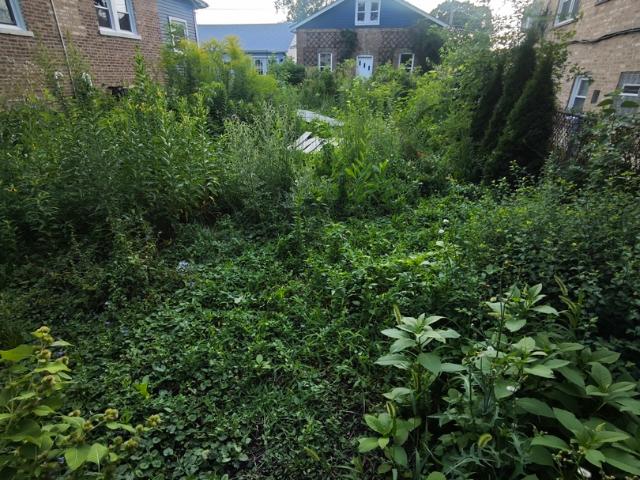Land for sale in Elmwood Park, Illinois