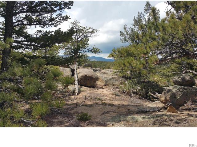 Land for sale in Red Feather Lakes, Colorado