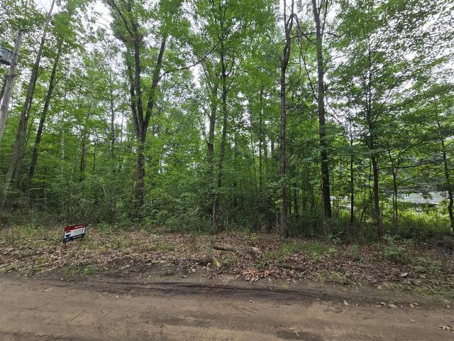 Land for sale in Michigan