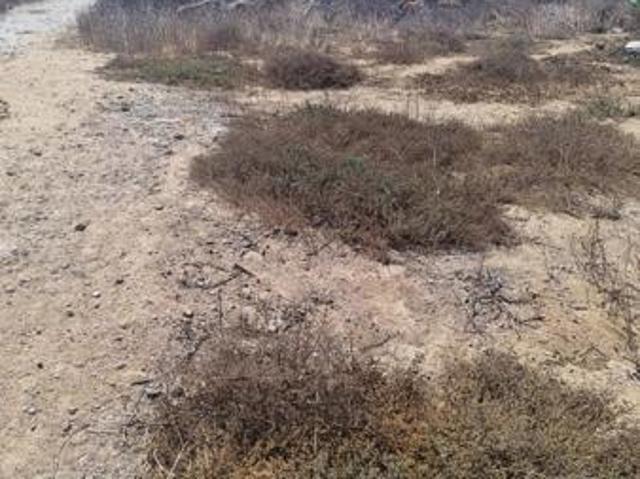 Land for sale in Western Cape