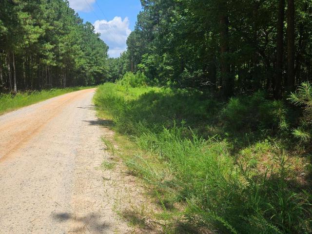 Land for sale in Georgia