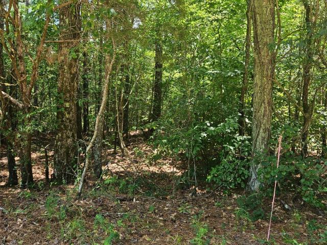 Land for sale in Georgia