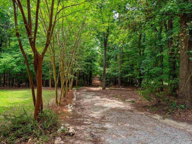 House for sale in Chapin, South Carolina