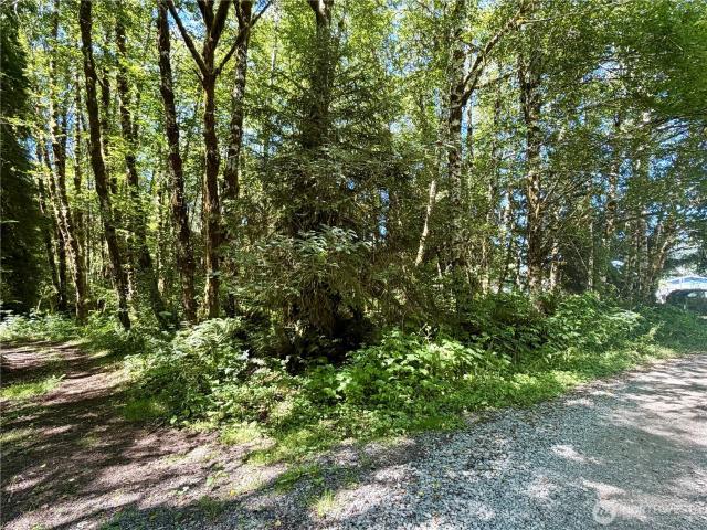 Land for sale in Forks, Washington