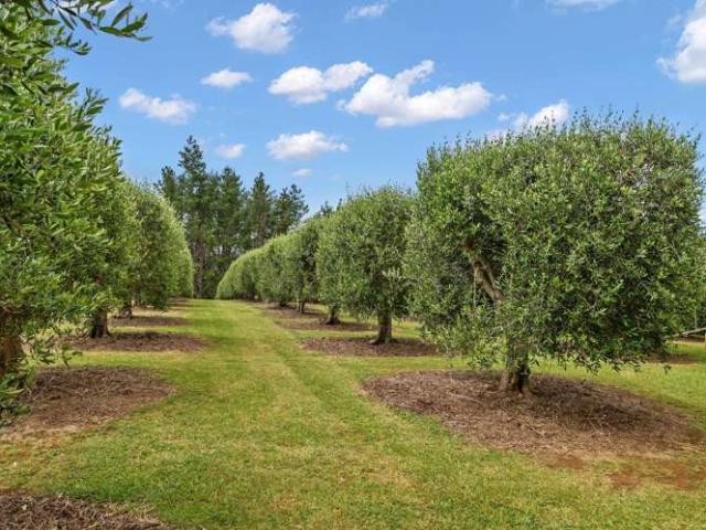 Property for sale in Whangarei, Northland
