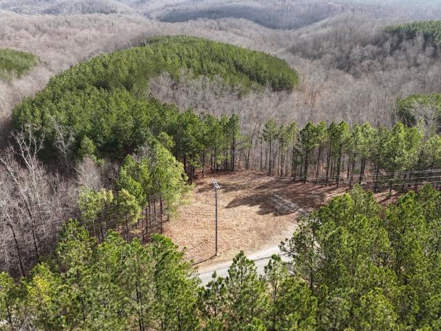 Land for sale in Tennessee