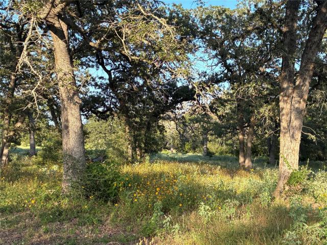 Farm for sale in Milam, Texas