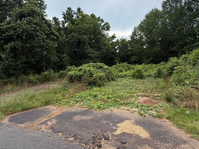 Land for sale in Gainesville, Georgia