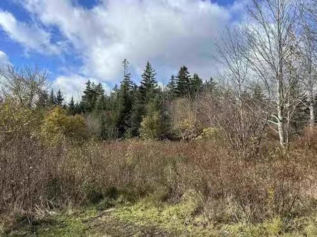 House for sale in Brass Hill, Nova Scotia
