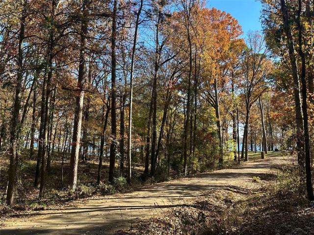 Land for sale in Titus, Texas