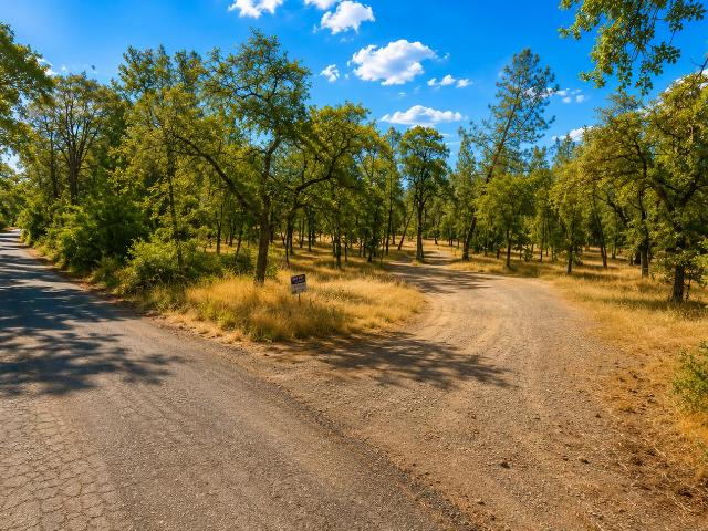 Land for sale in Inwood, Shingletown