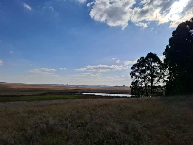 Farm for sale in Dullstroom, Mpumalanga