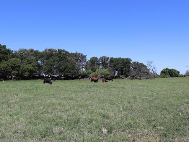 Land for sale in Clay, Texas