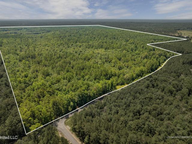 Land for sale in Sumrall, Mississippi