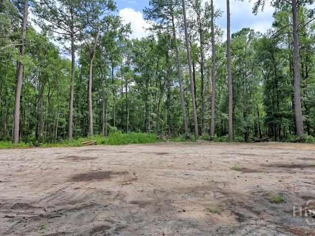 Land for sale in Rincon, Georgia