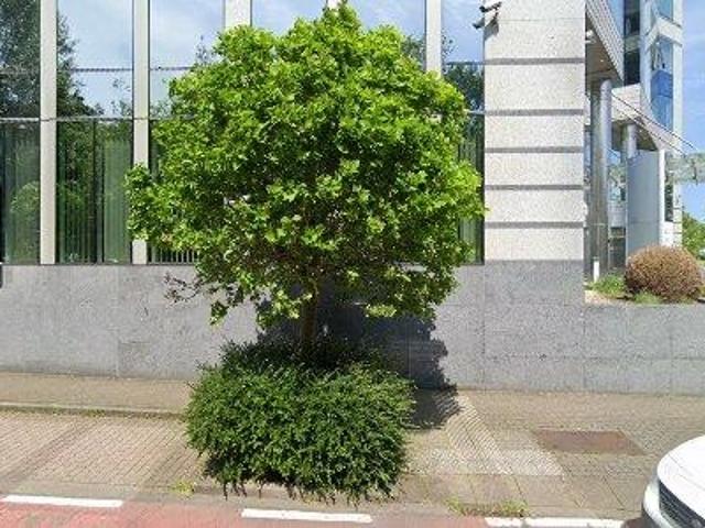 Bureau vente à Bi, Bruxelles