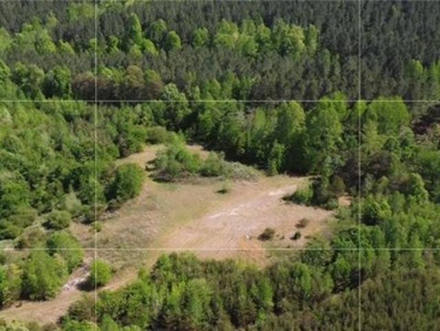 Land for sale in Reidsville, North Carolina