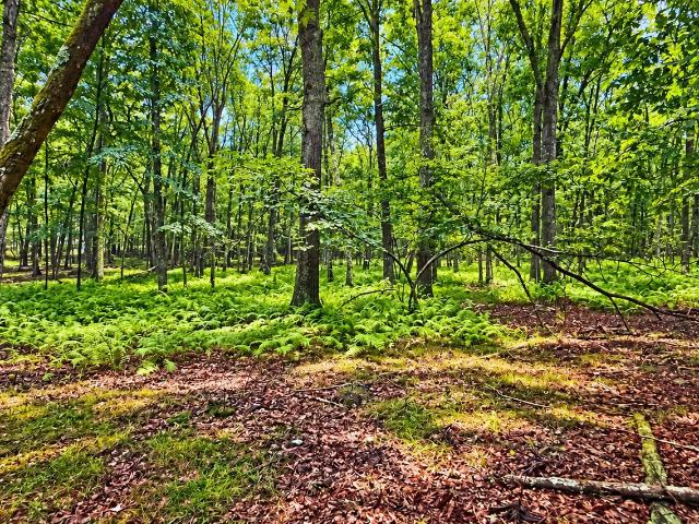 Land for sale in Lackawaxen Township, Pike County