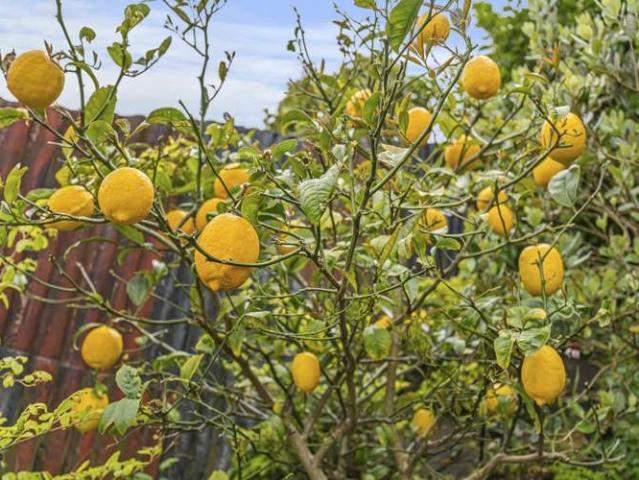 House for sale in Hillsborough, Taranaki