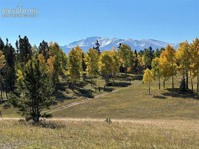 Land for sale in Divide, Teller County