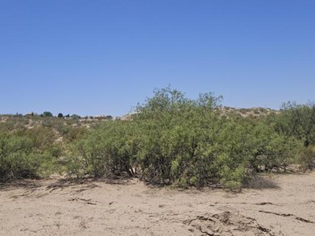 Land for sale in Dona Ana, New Mexico