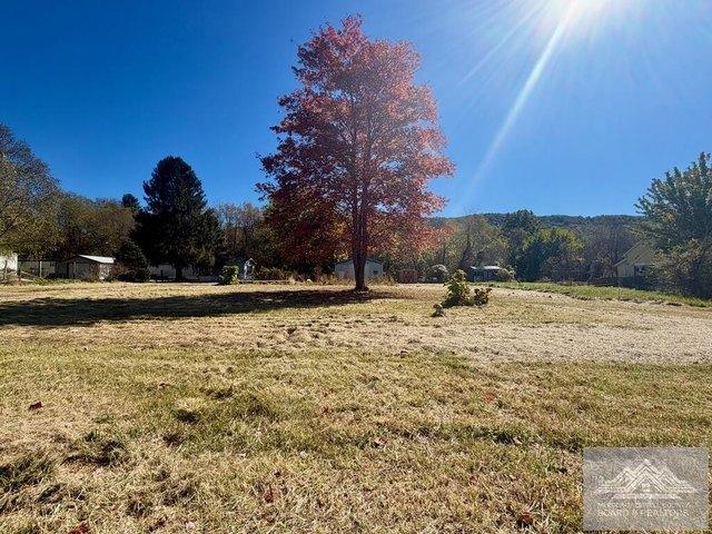 Land for sale in Peterstown, Monroe County