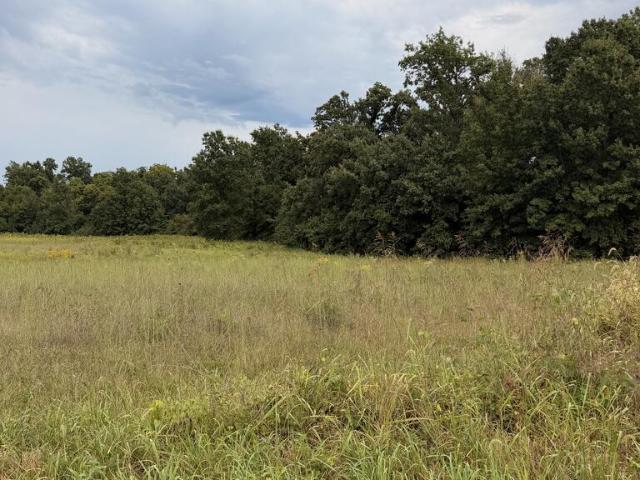 Land for sale in Keytesville, Chariton County