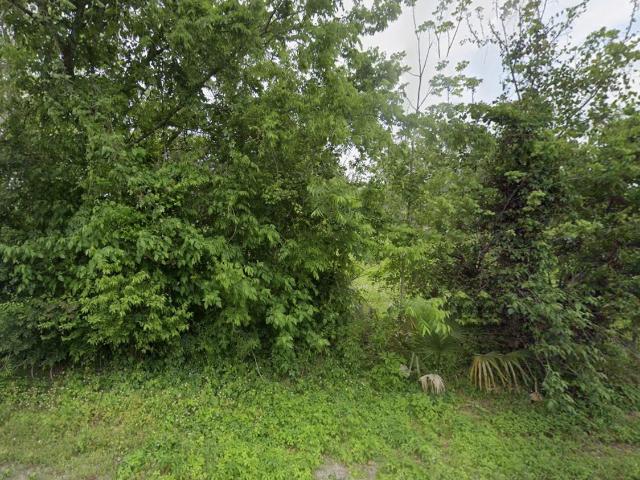 Land for sale in Brazoria, Brazoria County