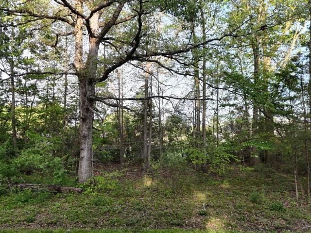 Land for sale in Sardinia, Ohio