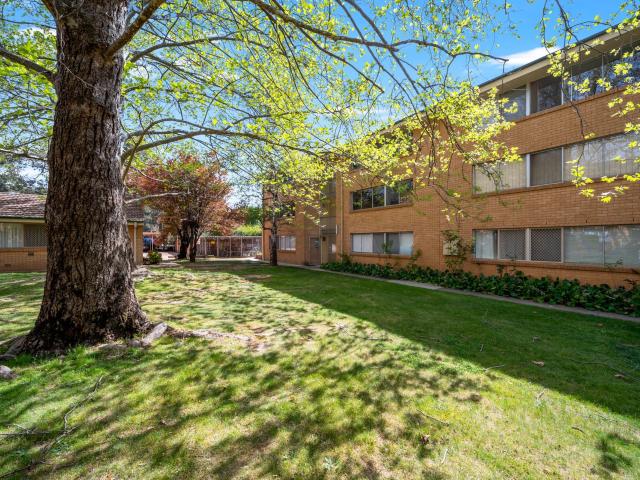 Apartment for rent in O'Connor, North Canberra