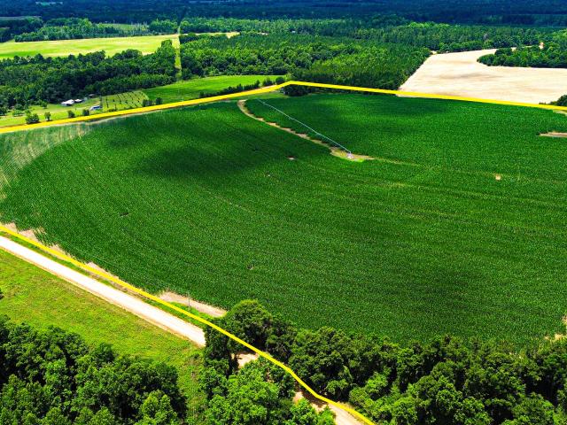 Land for sale in Cadwell, Georgia