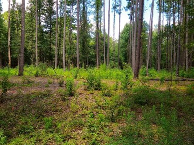 Land for sale in Hope Hull, Alabama