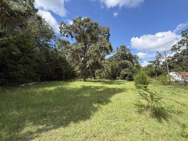Land for sale in Donalsonville, Georgia
