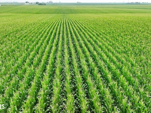 Farm for sale in Conrad, Iowa
