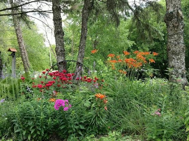 Land for sale in Wright, Minnesota
