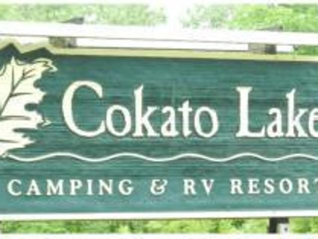 House for sale in Cokato Township, Wright County