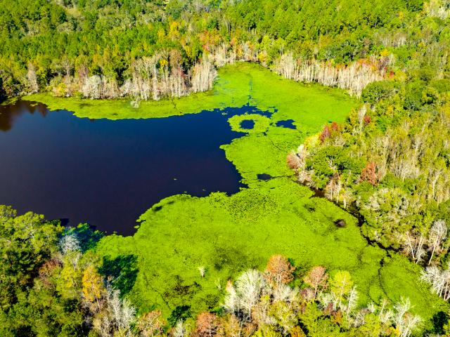 Property for sale in Evans, Georgia