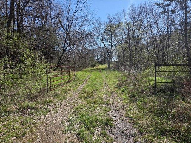 Land for sale in Fannin, Texas