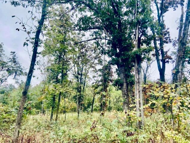 Land for sale in Greenfield, Missouri