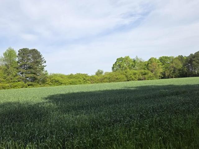 Land for sale in Louisburg, North Carolina