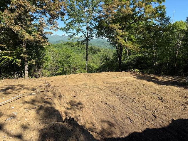 Land for sale in Hayesville, North Carolina