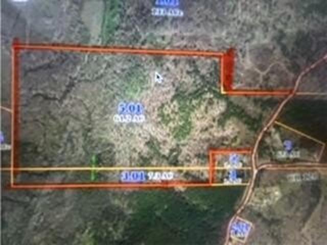 Land for sale in Walnut, Mississippi