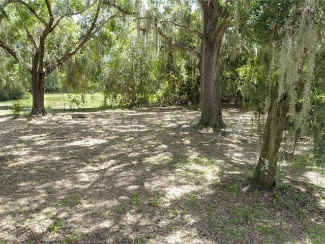 Land for sale in Saint Cloud, Florida