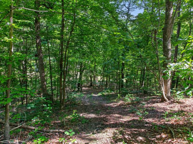Land for sale in Garrard, Kentucky