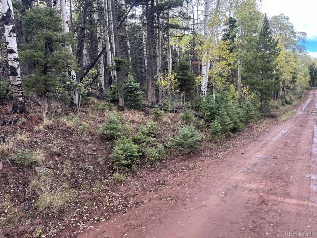 Land for sale in Fort Garland, Costilla County