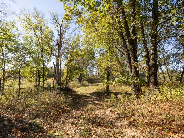 Land for sale in Laclede, Missouri