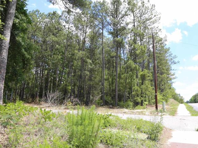 Land for sale in Columbia, South Carolina