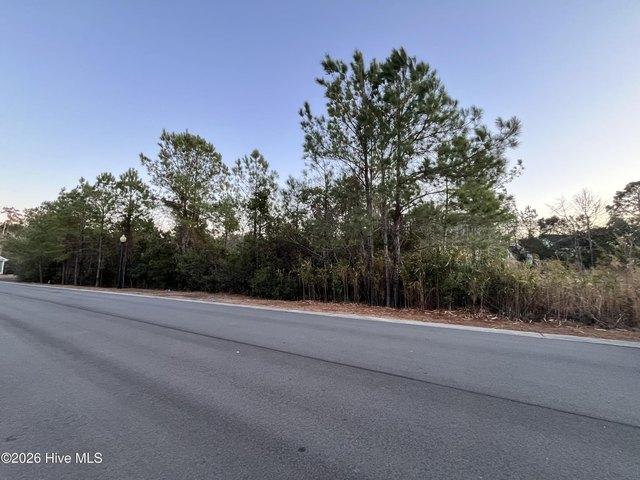 Land for sale in Ash, North Carolina